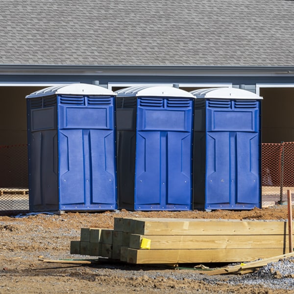 what is the maximum capacity for a single porta potty in Pueblo Pintado